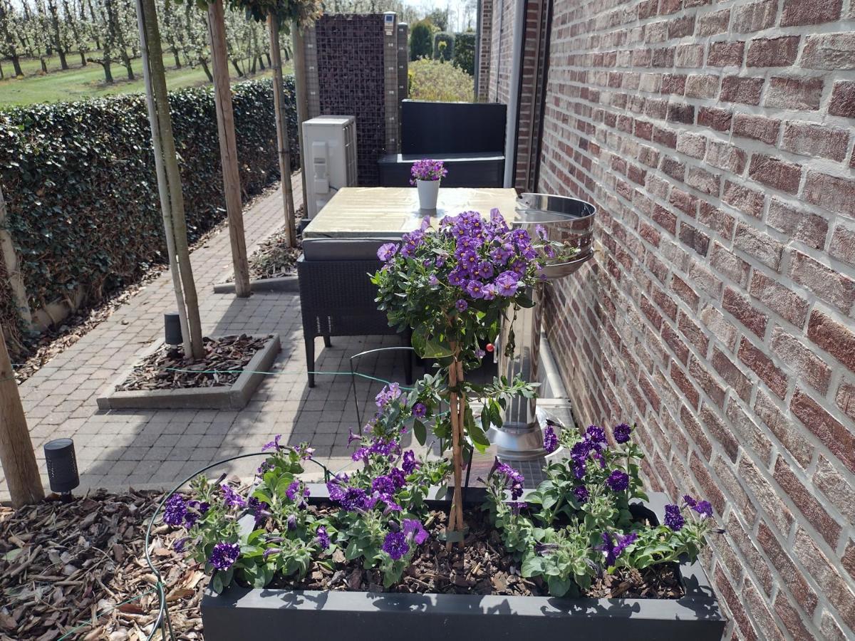 Hasbania Vakantiewoning Gingelom Exterior foto